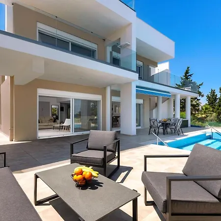 Viviane Paulos Villa *