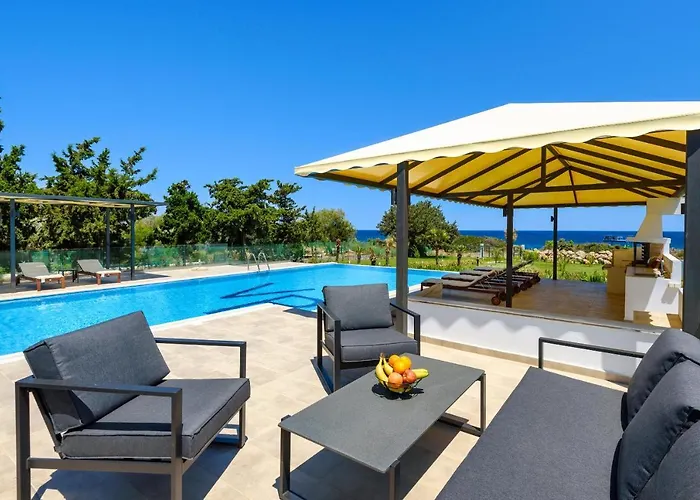 Viviane Paulos Villa *